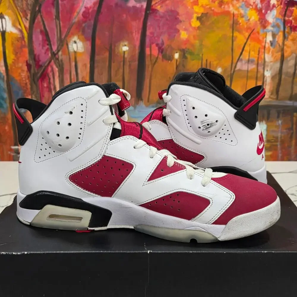 Nike Air Jordan Retro 6 VI Carmine Size 11.5 Men's CT8529-106